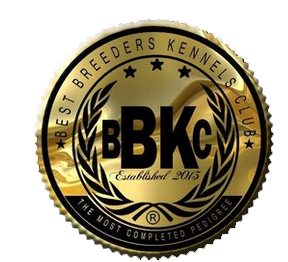 BBKC